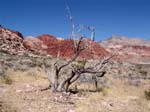 Red Rock01