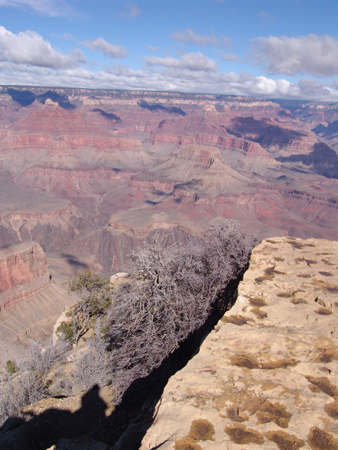 GrandCanyon (45)