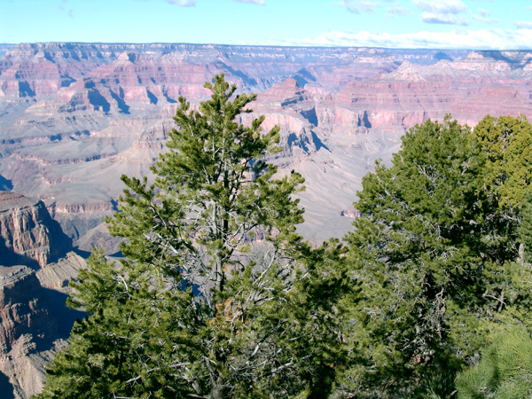 GrandCanyon (56)