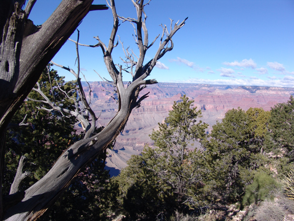 GrandCanyon (57)