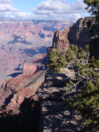 GrandCanyon (60)