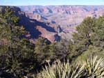 GrandCanyon (55)