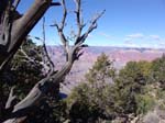 GrandCanyon (57)