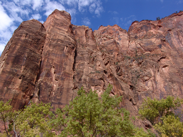 Zion (6)