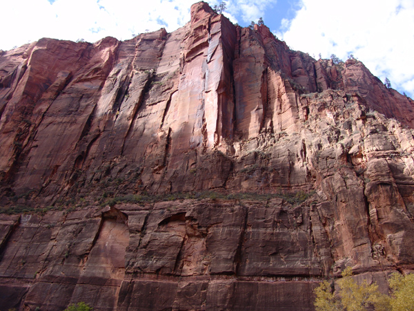 Zion (7)